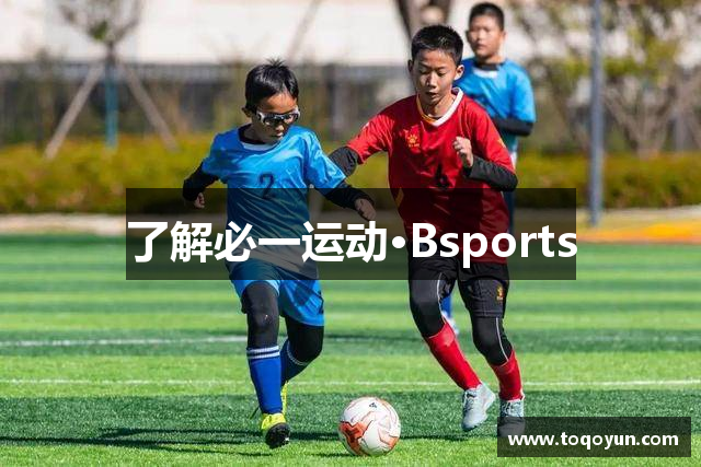 了解必一运动·Bsports